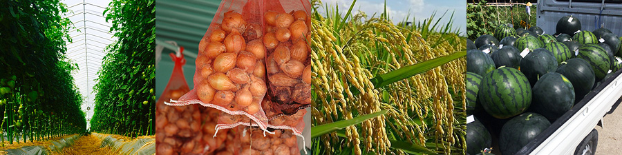 アグリプラス神戸