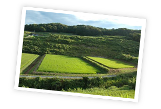 神戸市北区の淡河の田園風景