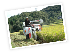 上野丘更生寮の稲刈り