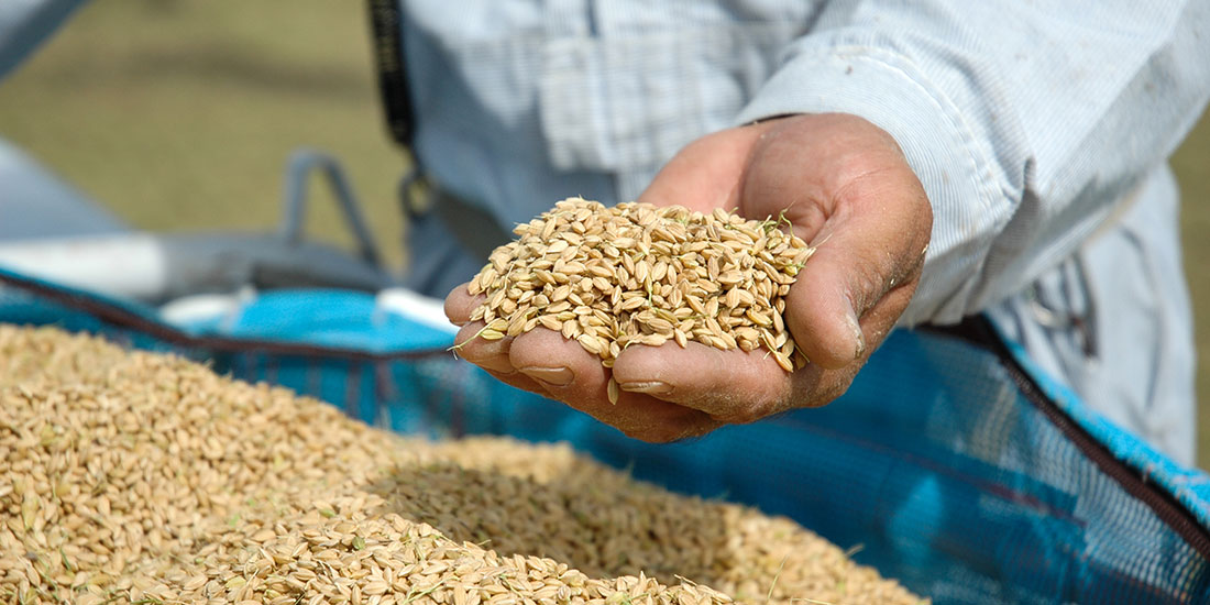 神戸産米粉　神戸米っこ物語