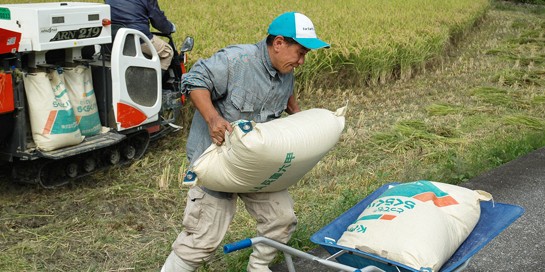 神戸産米粉　神戸米っこ物語