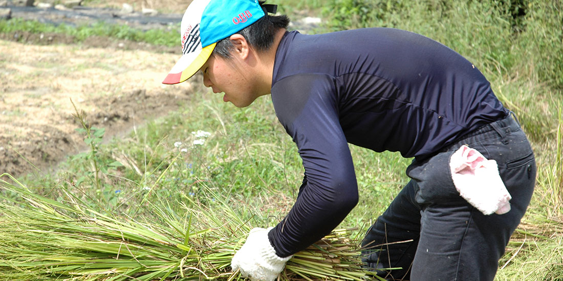 神戸産米粉　神戸米っこ物語