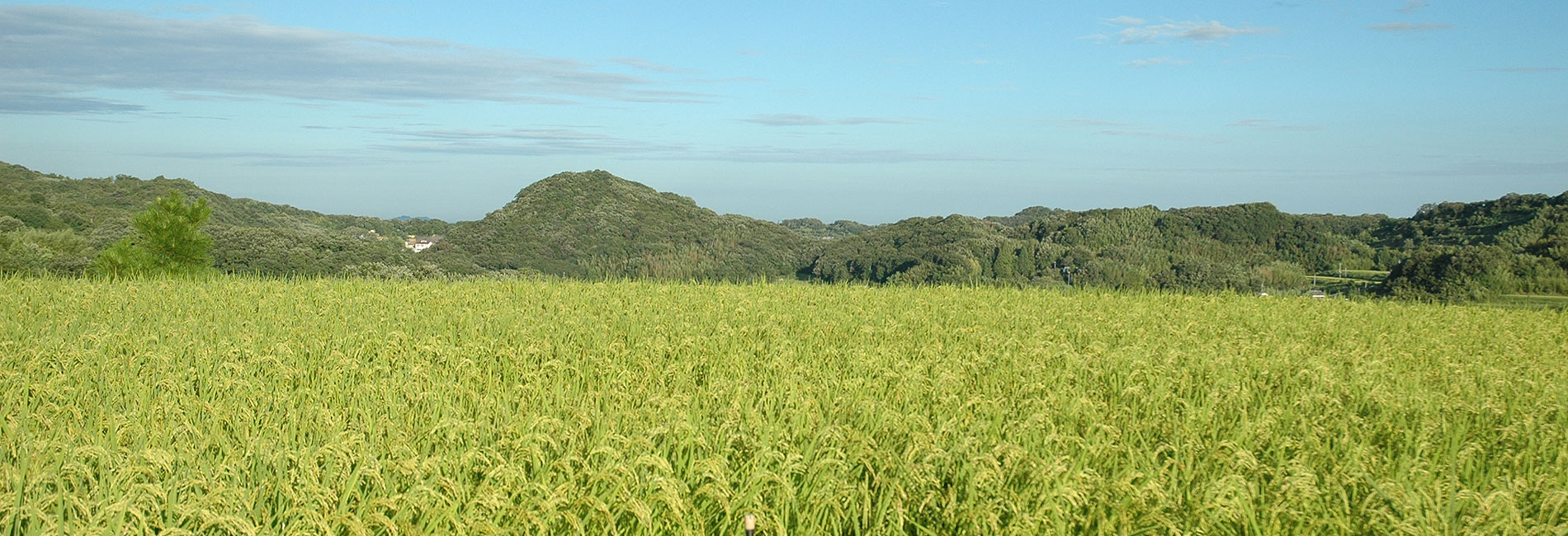 神戸産米粉　神戸米っこ物語