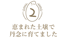 減農薬米を使用