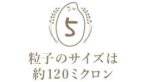 粒サイズは、120ミクロン以下
